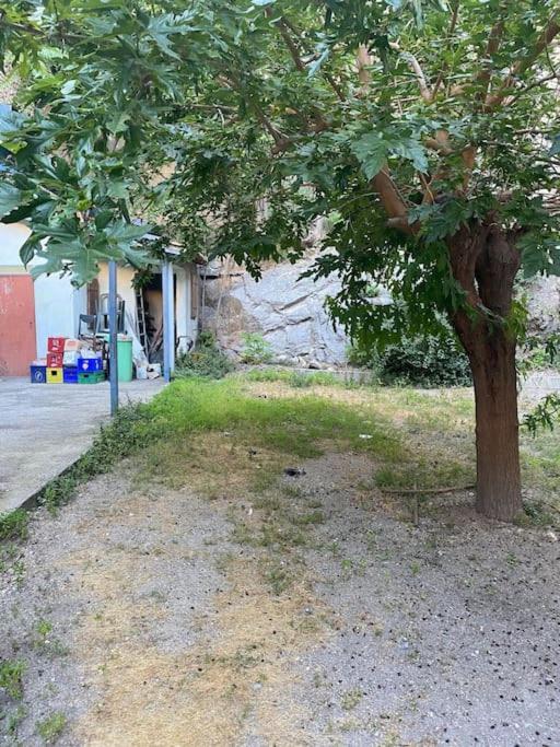 Appt 4 Pers Avec Jardin Ombrage En Centre Ville De Sète Esterno foto
