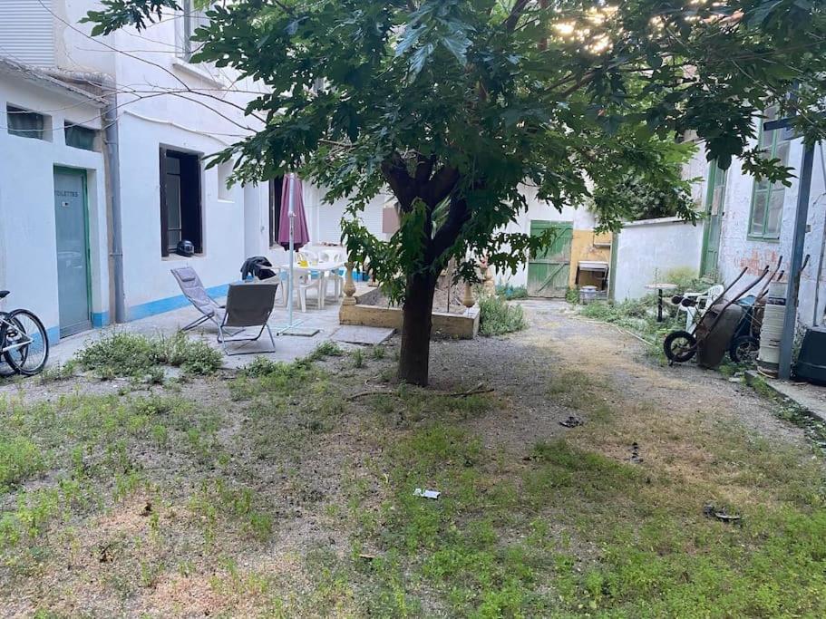 Appt 4 Pers Avec Jardin Ombrage En Centre Ville De Sète Esterno foto